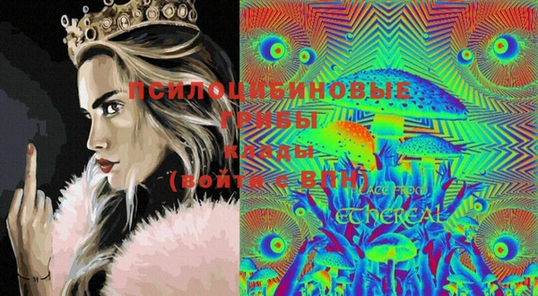 мяу мяу мука Коряжма