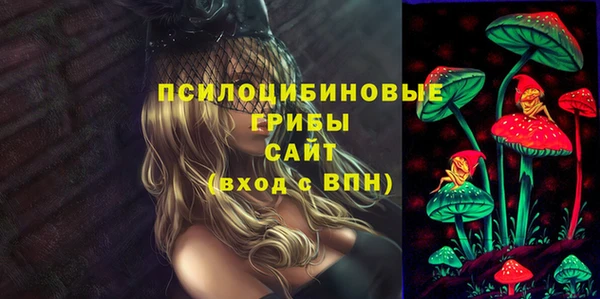 стафф Корсаков